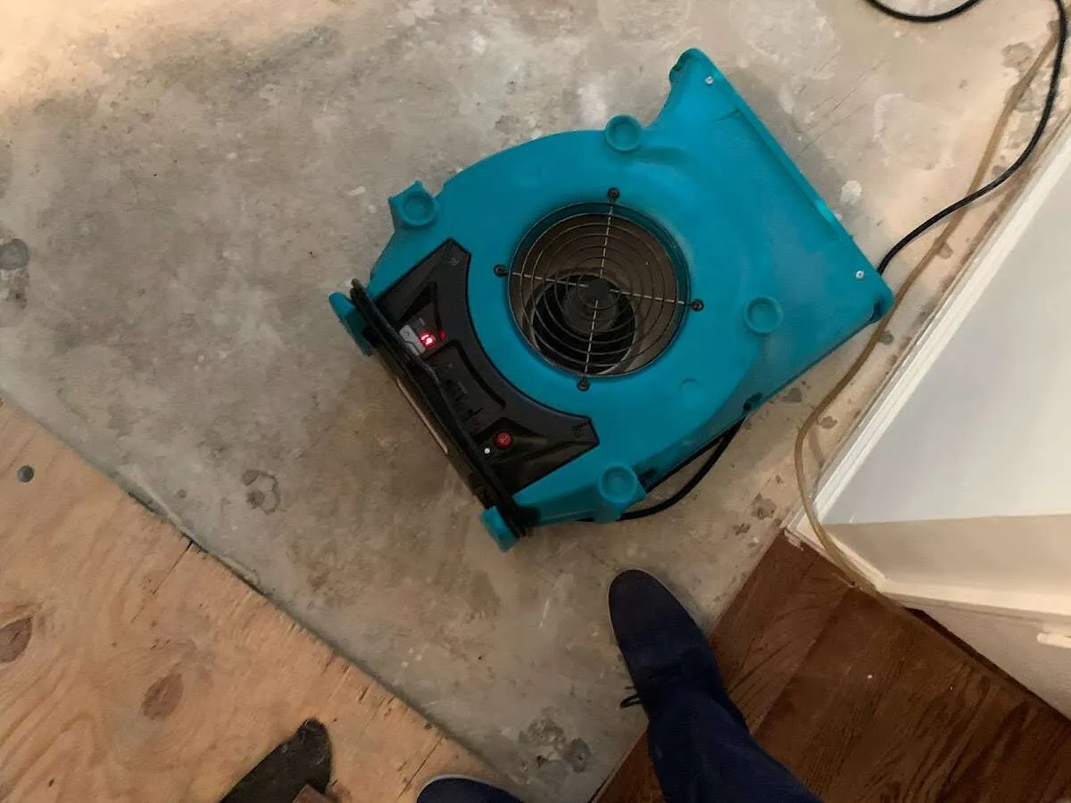 Air mover drying subfloor during Leak Detection & Repair in Brandon